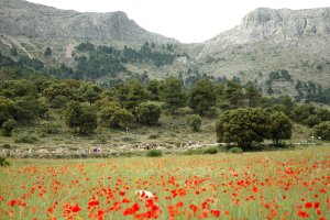 El Parque Natural de Los Vélez será uno de los escenarios de las actividades.