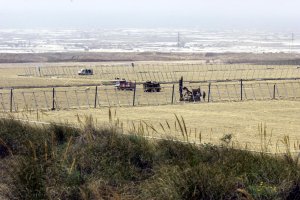 La construcción de invernaderos ha sido constante en los últimos años