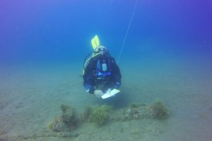 Tras el hallazgo, se avisó al Servicio de Emergencias 112 para poner en marcha el protocolo establecido.