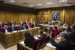 Uno de los momentos del Pleno celebrado este viernes.