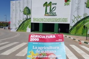 Acceso a SIAM y Agricultura 2000