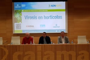 Jan van der Blom (Coexphal), David Meca (Fundación Cajamar) y Dirk Janssen (Ifapa La Mojonera).