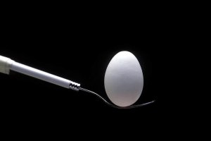 El colegio de Veterinarios advierte sobre el uso de huevos.