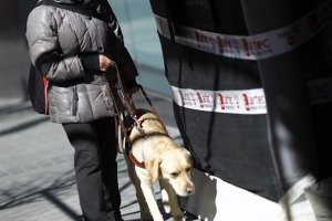 86 de los 299 edificios con los que cuenta la Administración Pública aún no son totalmente accesibles.