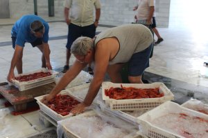 Pescadores descargan las cajas de gamba roja en la lonja de Garrucha.