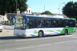 Autobús en el área metropolitana