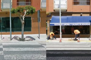 El paso de peatones y antes y después de quitar el árbol y la señal.
