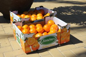 Cajas de naranjas de Antas en la fiesta de 2017.