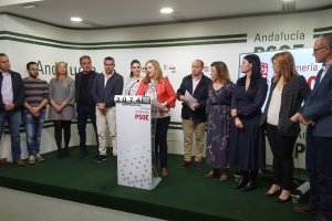 Rueda de prensa esta mañana en la sede del PSOE.