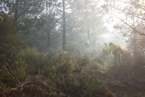 El terreno y el vineto hacen muy penosas las tareas de extinción.