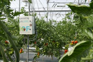 Las nuevas tecnologías incrementarán la productividad y la eficiencia de las cosechas hortícolas en el futuro.