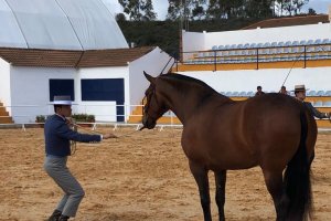 Juan Manuel Castillo (izquierda) estará presente en el mes de noviembre en el Campeonato del Mundo del Caballo PRE.