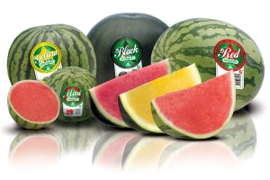 Variedad de sandías Bouquet.