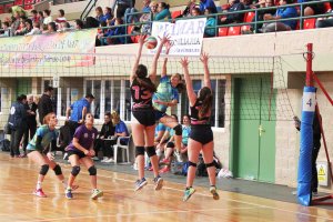 Voleibol de nivel en Roquetas de Mar.