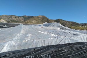 Uno de los invernaderos afectados por el granizo, esta mañana.