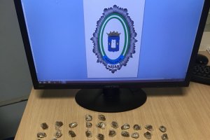 Piezas decomisadas en la intervención en San Isidro.