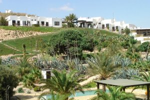 La Almendra y El Gitano es un establecimiento rural que cuenta con ocho modernas habitaciones