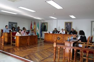 Pleno celebrado en Pulpí el pasado viernes.
