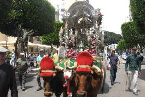 El cambio de itinerario de este 2018 hizo que la carreta tirada por bueyes con el Simpecado bajase el Paseo parcialmente.