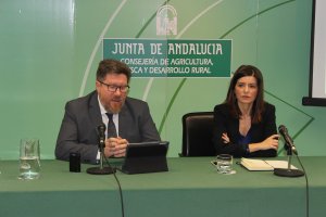 El consejero de Agricultura, Rodrigo Sánchez Haro, en la rueda de prensa de la Junta de Andalucía.