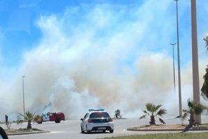 Los bomberos del Poniente extinguiendo el incendio que se ha producido en Almerimar.