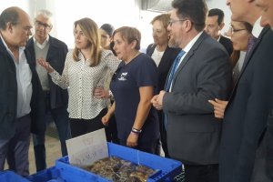 Visita de Susana Díaz a la lonja pesquera esta tarde.