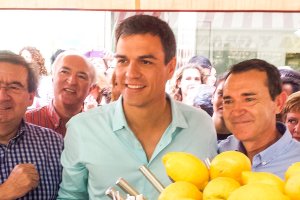 Pedro Sánchez con Fernando Martínez y Juan Carlos Pérez Navas, en Almería en 2015.