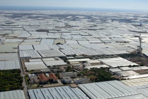 El ordenamiento del territorio agrícola, en lo que respecta a la agricultura intensiva, es objeto de debate en Almería.