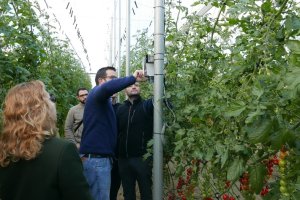 El máster formará sobre disciplinas como el Big Data o el Internet de las Cosas aplicados a la agricultura.