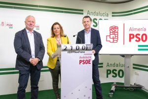 Los diputados Juan Jiménez y Sonia Ferrer y el senador Juan Carlos Pérez Navas, en la sede del PSOE de Almería.