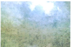 Agua de las charcas, cuajada de larvas, en una imagen facilitada por el Ayuntamiento.