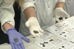 Presentación de las piezas arqueológicas, esta mañana en el Museo de Almería.