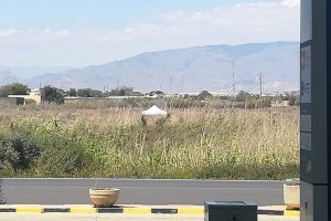 Carpa de la Guardia Civil en el entorno de El Bobar