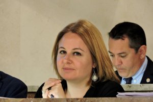 Carmen Núñez viceportavoz del Grupo Municipal Socialista.