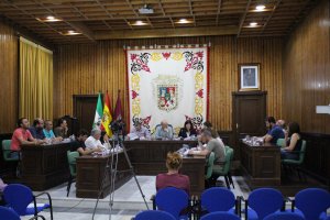 Sesión plenaria celebrada el pasado viernes en la que se aprobaron los proyectos.