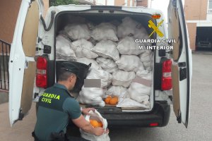La Guardia Civil incautando los frutos robados.