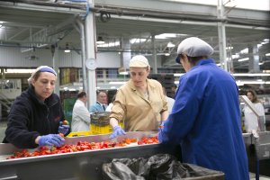 El manipulado es uno de los sectores con salarios mileuristas.