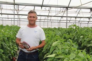 Un agricultor de Cartagena posa con un ejemplar del pimiento Rio Grande de Semillas Fitó.