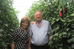 Gabriela González y Miguel Moreno en uno de los invernaderos de la familia.