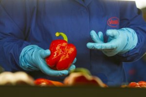 La agricultura en el corazón