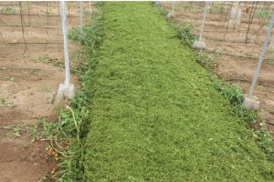 imagen: Seminario de Agorcología (UAL)