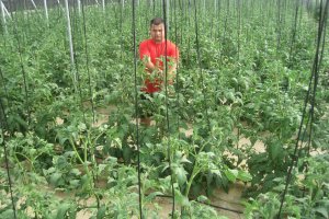 La tasa de morosidad del agricultor es de las más bajas de España.