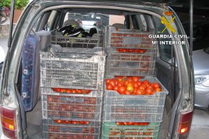 Uno de los vehículos con las cajas.