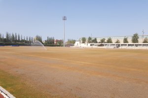 Cambio de césped en el campo Anexo.