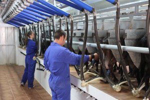 Instalaciones de la fábrica de yogur líquido en el municipio de Lubrín.