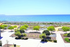 Desde la Delegación de la Junta en  Almería se muestran satisfechos con los datos de beneficiarios.