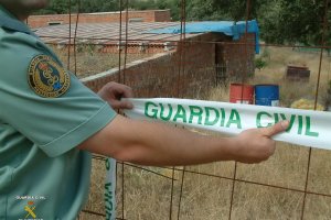 Actuación del Seprona, en una imagen de archivo