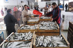 Cajas  de pescado azul recién llegado a la lonja de Adra para su venta y expedición.