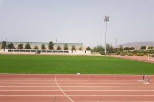 Así se encuentra el césped del campo Anexo.