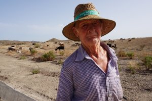 Diego Fernández en una de sus salidas al campo con su rebaño. Foto: Ricardo Alba